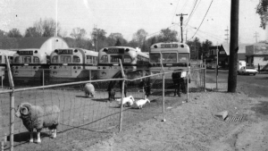 Peter Brega Inc. Farm 1970
